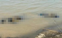 Phát hiện 2 thi thể nam giới trên sông Lam, chưa xác định được danh tính