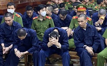 Nhóm người tàng trữ, vận chuyển, mua bán 216kg ma túy nhận 18 án tử hình