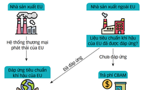 Ứng phó 'thuế carbon', giải pháp trước mắt và lâu dài