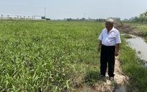 Sửa Luật đất đai 2013: Chính phủ sẽ báo cáo Ủy ban Thường vụ Quốc hội trước ngày 25-4