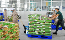 Gạo Việt Nam ngày càng được ưa chuộng tại Anh