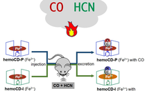 Phát hiện hợp chất có thể cứu sống các bệnh nhân bị ngộ độc khí