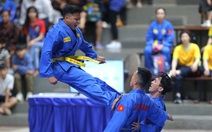 'Phát triển vovinam là gieo mầm văn hóa Việt'