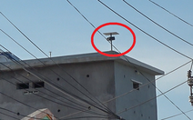 Mất ăn mất ngủ vì tiếng loa nhà nuôi chim yến