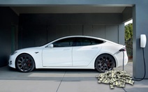 Người dùng Tesla phàn nàn từ tiếng ồn đến dịch vụ chăm sóc tồi tệ