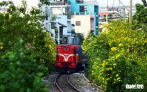 Mơ 3.100km đường tàu thành  đường hoa dài nhất Việt Nam