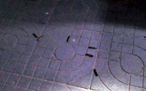 Nổ súng giải quyết mâu thuẫn làm 4 người bị thương