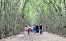 Cần Giờ sắp trở thành khu Ramsar thế giới