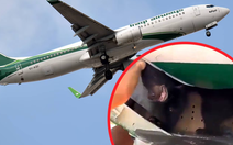 Gấu quý hiếm sổ lồng trong khoang hành lý, máy bay Iraq phải hoãn chuyến