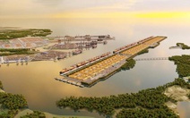 Cần Giờ chuyển hơn 2.400ha đất nông nghiệp sang phi nông nghiệp