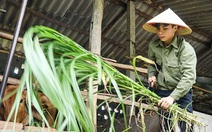 Đang làm công nhân, nhận tin đỗ thủ khoa