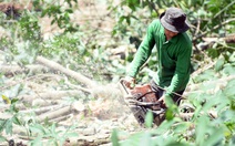 Yêu cầu xác minh 700 căn nhà xây dựng không phép ở dự án cao tốc Biên Hòa - Vũng Tàu