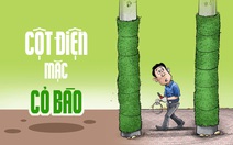 Khi cột điện khoác 'cỏ bào'