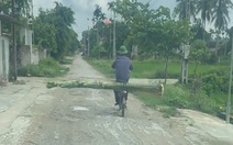 Tài xế ô tô bất lực khi gặp 'người vận chuyển' chở cây chuối