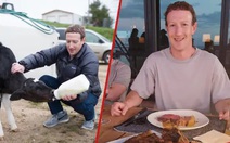 Dự án của tỉ phú Zuckerberg bị chế nhạo khi cho bò ăn hạt mắc ca và uống bia