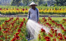 TP.HCM biến bãi rác, dự án 'treo' thành công viên