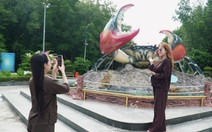 Tour xuyên rừng ngập mặn Vườn quốc gia Mũi Cà Mau hút khách
