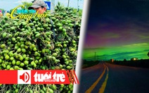 Điểm tin 18h: 1 tấn cau đổi được 1 lượng vàng; Bão Mặt trời cực mạnh sắp tác động Trái đất