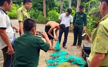 Phạt hơn 17 triệu đồng người đưa 17 con khỉ đuôi dài Côn Đảo về bờ