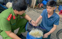 Trồng giá đỗ bằng hóa chất, sao 'đầu độc' đồng bào mình vì một chút lợi ích cá nhân?