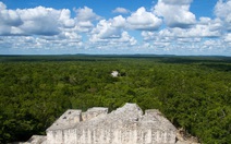 Thành phố cổ Maya được tìm thấy trong rừng rậm Mexico