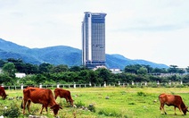 Kiểm tra, xử lý vụ ‘quên’ thu hồi đất tại Nha Trang với công ty liên quan Lã Quang Bình