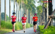 Viettel Marathon Hà Nội 2024: Xuất phát và về đích tại sân vận động Mỹ Đình