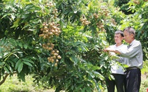 Hội Nông dân đồng hành hội viên phát triển kinh tế