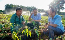 Kỳ tích cao su Việt trên nước bạn Lào - Kỳ 3: Thần tốc phủ xanh cao su Việt trên đất Lào