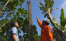 Phòng tránh tai nạn điện trong đời sống sinh hoạt