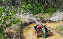 Sông Hậu, sông Cổ Chiên chuẩn bị đón đợt xâm nhập mặn