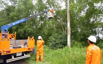 EVNHCMC đảm bảo cung cấp điện dịp Tết Nguyên đán