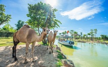 Sức sống River Safari Nam Hội An