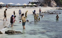 Thiếu đường bay, khó tăng khách du lịch đến Đồng bằng sông Cửu Long