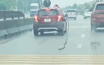 Ảnh vui 3-3: Đang đổ xăng tự dưng nhớ ra phải đi đón con