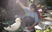 Cô gái miền Tây và chú vịt truyền cảm hứng cho phái nữ toàn thế giới