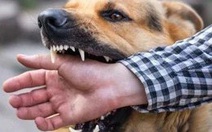 Bình Thuận ghi nhận một ca tử vong nghi do bệnh dại, chưa xác định nguồn lây