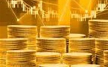 Người phụ nữ bị lừa 24 tỉ đồng vì đầu tư sàn vàng online