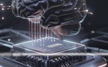 Chế tạo thành công chip mô phỏng não người