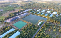 C.P. Việt Nam tiên phong thực hành cam kết Net Zero, hướng đến tương lai xanh