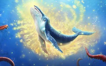 Phim hoạt hình về chú cá voi nhỏ bảo vệ đại dương