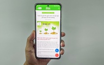 Quận Bình Tân ‘chốt’ thu tiền rác qua app từ ngày 1-9