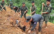 Nỗ lực tìm kiếm nạn nhân vụ sạt lở, vùi lấp xe khách ở Hà Giang