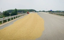 Cầu trăm tỉ thành nơi dân phơi lúa vì không có đường dẫn