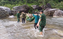 Cứu sống người đàn ông bị rơi xuống vực trong rừng đã 4 ngày