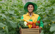 WinEco đưa xà lách Thủy tinh của Việt Nam sang Hàn Quốc