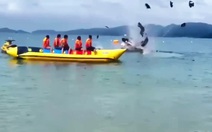 Mô tô nước phát nổ trên biển Cô Tô, tài xế thoát chết