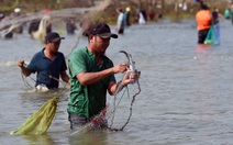 Tranh bắt ‘lộc trời’ dưới chân đập Trị An, cá ít nhưng vẫn vui