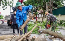 Người dân Nghệ An hối hả chống siêu bão Yagi