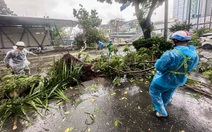 Hà Nội: Sập nhà trên phố Khâm Thiên, cây đa cổ thụ bên hồ Hoàn Kiếm ngã đổ